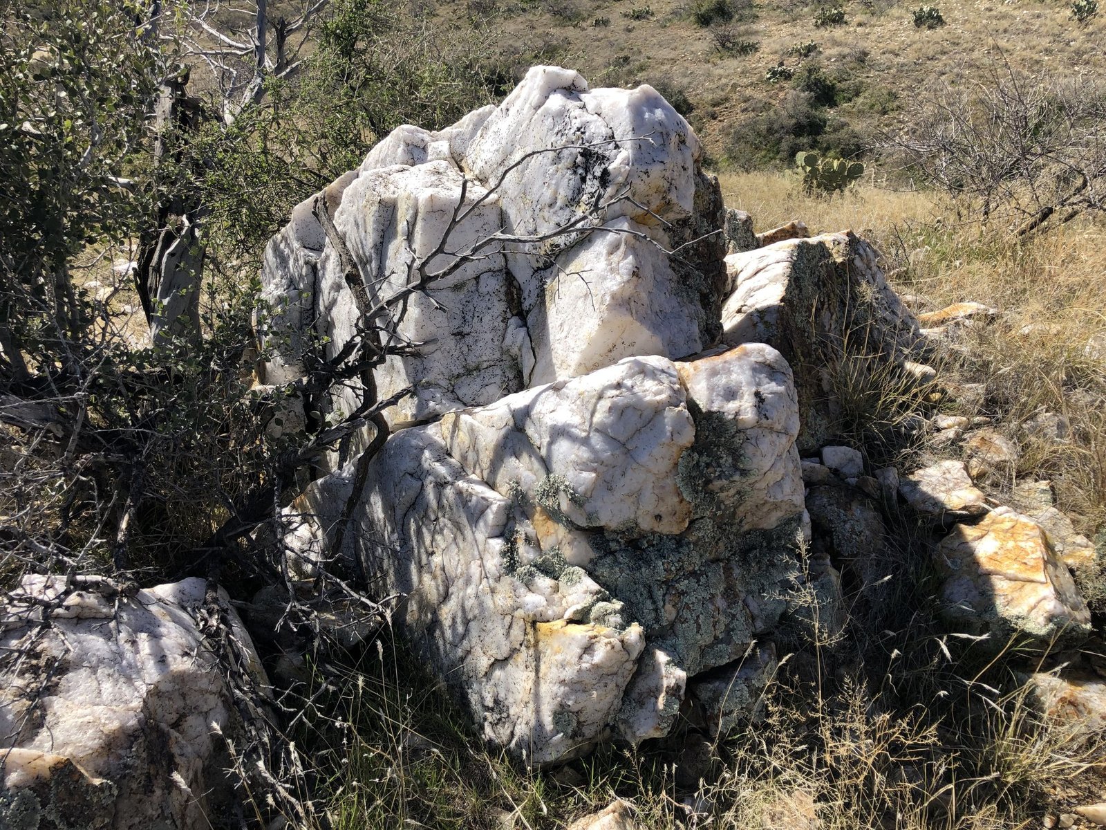 Quartz boulders in a Colorado landscape