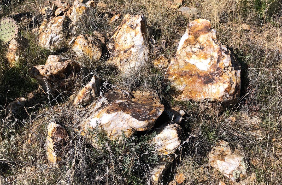 Quartz boulders in a Colorado landscape